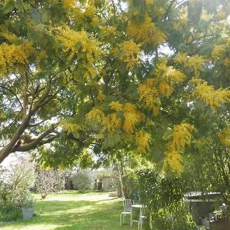 Oda ve Kahvaltı Ma Toulousaine D'hotes 3*