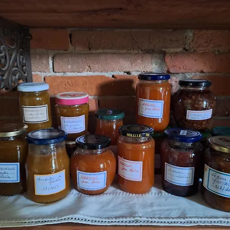 Bed & Breakfast Ma Toulousaine D'hotes